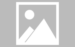 随州搭建网站招聘信息（网站制作 招聘）